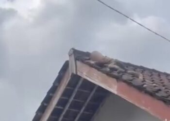 Ibu panik lihat anak 2 tahun merangkak atas bumbung