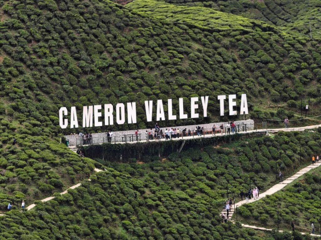 Cuaca panas: Orang ramai ‘serbu’ Cameron Highlands