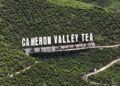 Cuaca panas: Orang ramai ‘serbu’ Cameron Highlands
