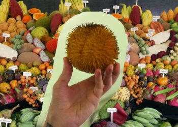 Durian isi merah dijual RM560 