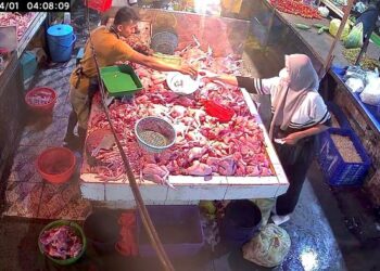 ‘Panjang tangan’, wanita curi 10 ekor ayam