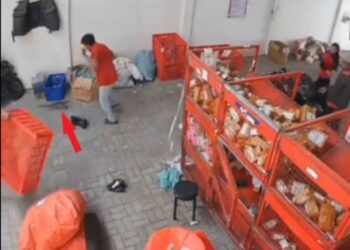 Siapa ‘order’ biawak dalam talian?