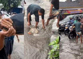 Penduduk tangkap ikan muncul di jalan raya
