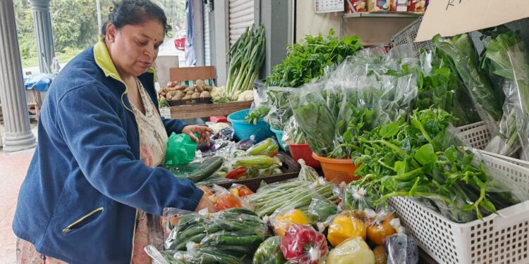 Pelancong tanya sayur dari mana sebelum beli