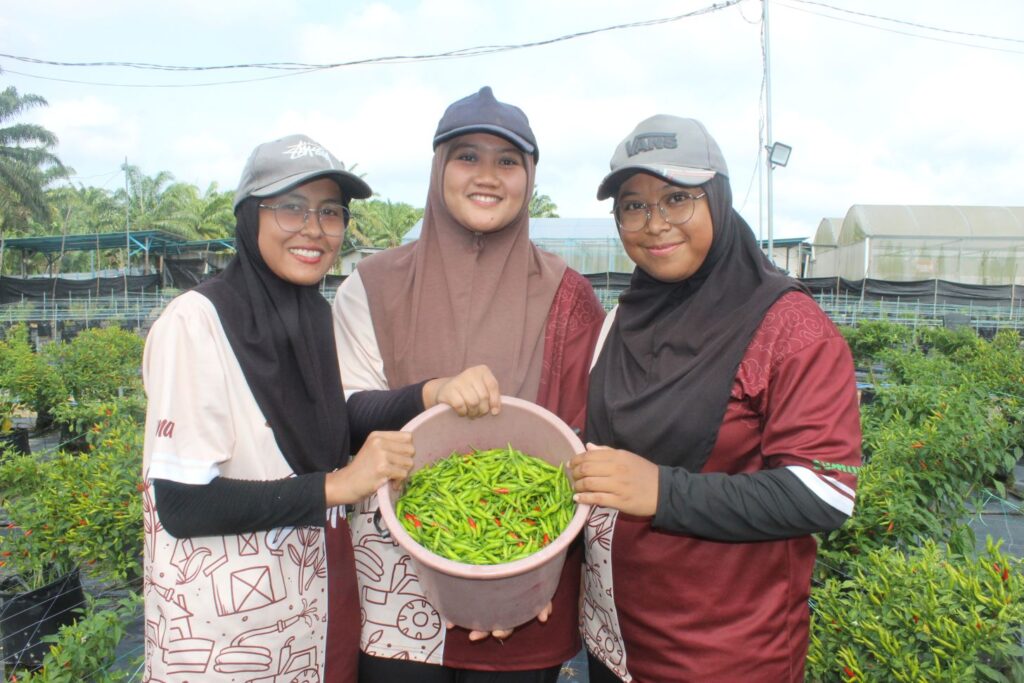 Tiga gadis Gen Z raih gaji CEO