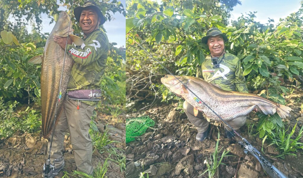 Rekod International Game Fish Association (IGFA) ikan tapah Sungai Bernam