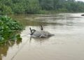 Warga emas berkerusi roda jatuh sungai ketika memancing