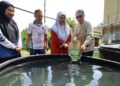 Ternak keli di kolej kediaman bantu tingkat kemahiran siswa