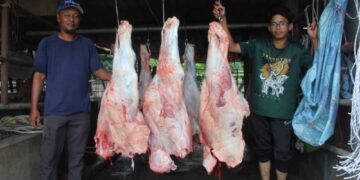 ‘Satu tan daging sehari terjual, 7.30 pagi serbu pasar’