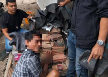 Lelaki telan 25 pil kuda kurang sehari 
