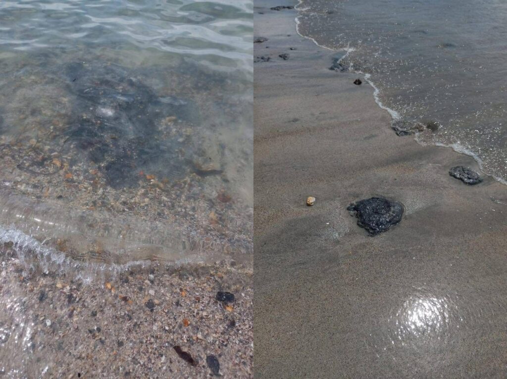Tiada kesan tumpahan minyak ditemui perairan Punggai dan pantai Batu Layar