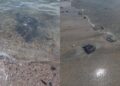 Tiada kesan tumpahan minyak ditemui perairan Punggai dan pantai Batu Layar