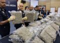 Keldai bunga ganja RM12.6 juta gagal ke Eropah