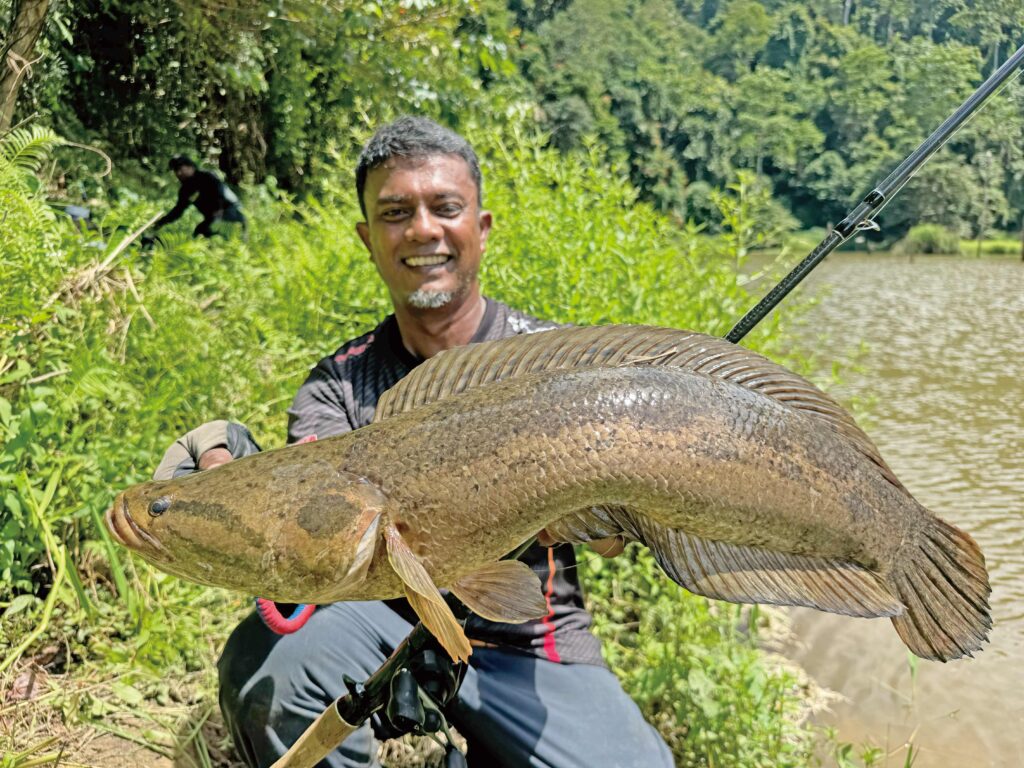 Ikan bujuk 2.95 kg pecah rekod All-Tackle IGFA berusia 15 tahun
