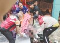 Buaya Sungai Linggi jarang sekali ganggu penduduk