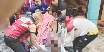 Buaya Sungai Linggi jarang sekali ganggu penduduk