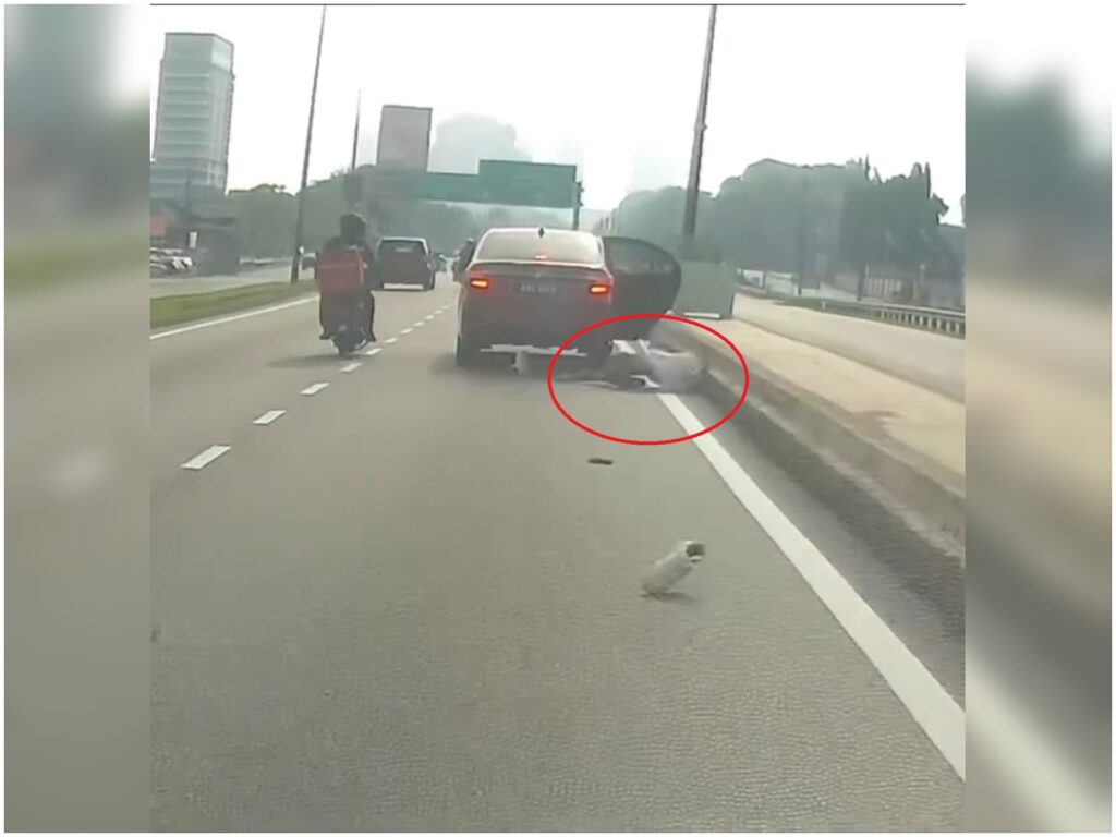 [VIDEO] Cemas dipandang, wanita terjun dari kereta e-hailing