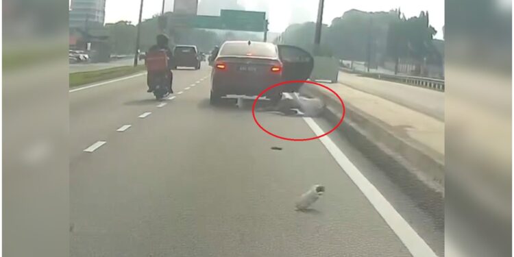 [VIDEO] Cemas dipandang, wanita terjun dari kereta e-hailing
