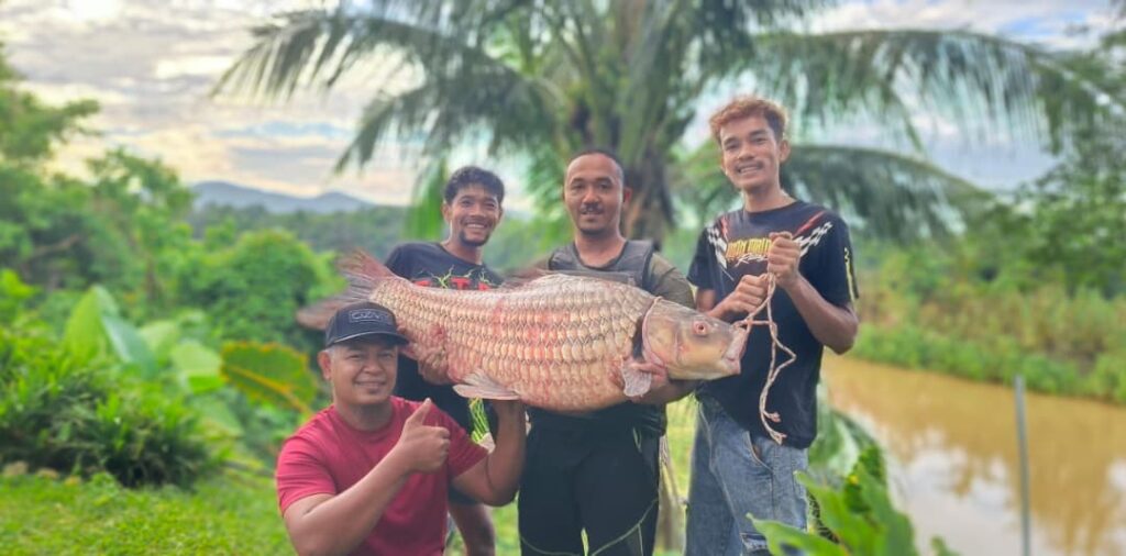 Rezeki Aidiladha, nelayan ‘sambar’ ikan temoleh berharga RM3,450