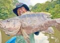 Impian ‘lesen’ ikan kanai tertunai