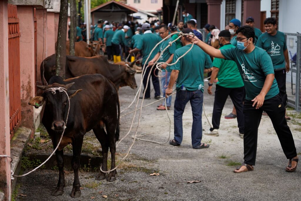 Ibadah korban bukan sekadar acara tahunan