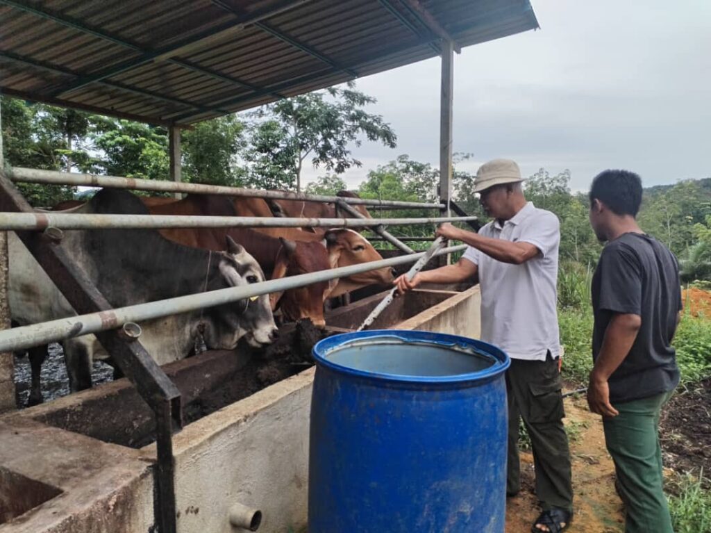 Satu bahagian RM600, bayar sikit-sikit