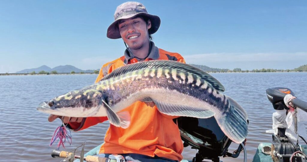 Mengilat ikan pemangsa Tasik Bukit Merah