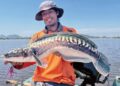 Mengilat ikan pemangsa Tasik Bukit Merah