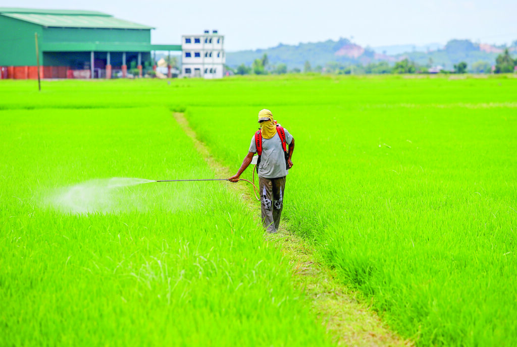 Anak pesawah pilih makan gaji, kerja pejabat