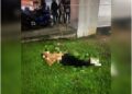 Lelaki warga asing maut, terjun dari aras tiga KLIA2