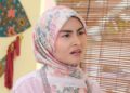 Difitnah janda, Wany Hasrita minta penyamar padam gambar