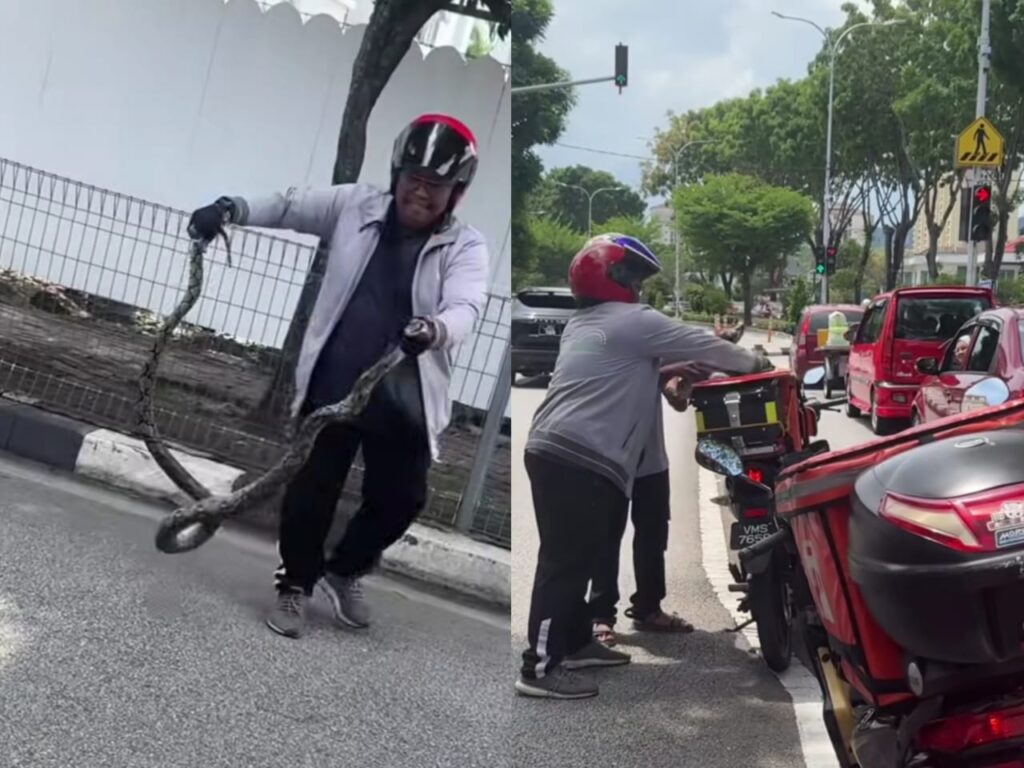 [VIDEO] Jangan lupa bersihkan beg selepas ‘cod’ ular