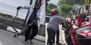 [VIDEO] Jangan lupa bersihkan beg selepas ‘cod’ ular