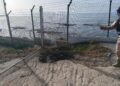 Letupan dron di Lubnan: Tiada pegawai ATM terlibat