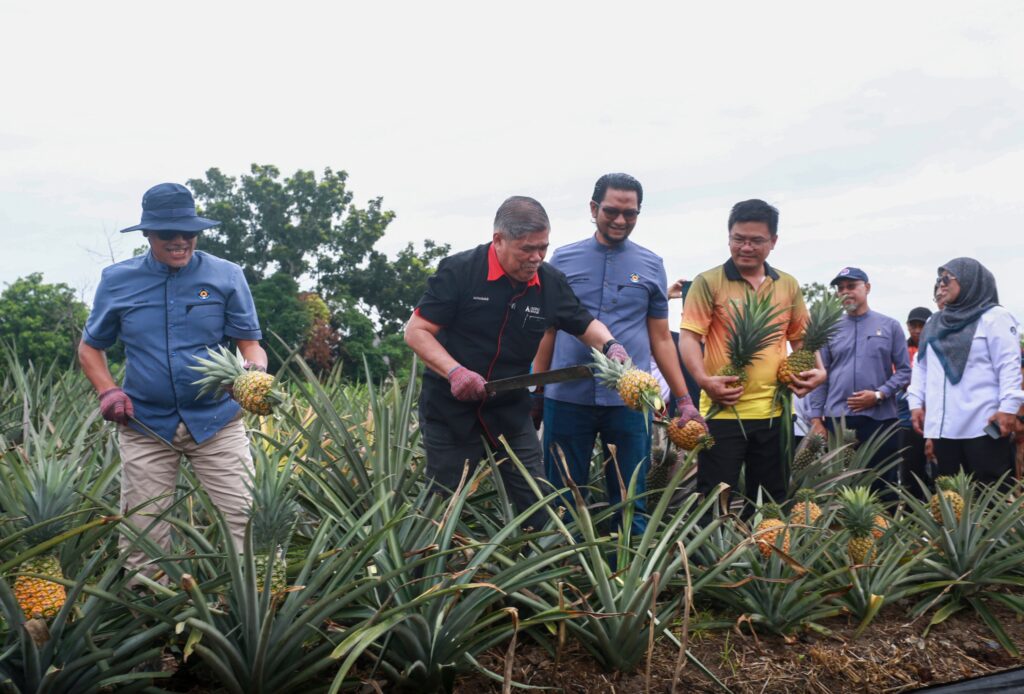 Usahawan tani Bumiputera perlu daya tahan, elak dikuasai warga asing