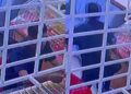 [VIDEO] ‘Anda pujuk, janji nak beli, tapi hari ini anda datang menyamun’