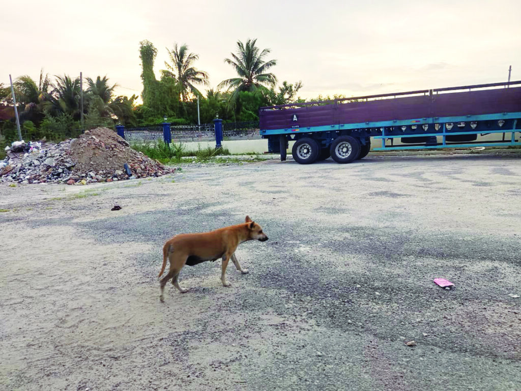Luahan Pembaca: Siapa pula jadi mangsa lepas ini?
