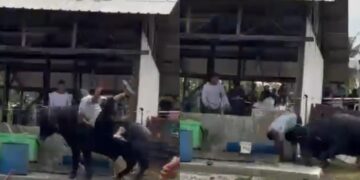 [VIDEO] Lelaki cedera ‘ditanduk’ kerbau
