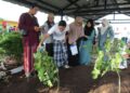 ‘Saya tak sedar, tahu-tahu isteri, anak dan mentua sudah tiada’