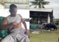 [VIDEO] ‘Kejadian sekelip mata, saya dilambung dua kali’
