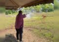 MB Perlis tembak lembu korban elak kejadian buruk