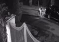 [VIDEO] Geng curi kabel Seksyen 2 ketika subuh diburu