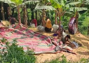 Penduduk ‘berjemaah’ kebas makanan haiwan
