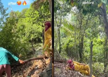 ‘Kesabaran senipis tisu tapi mahu memancing’