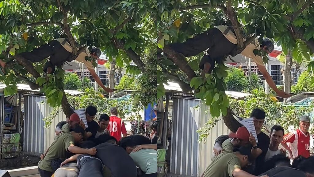 Lelaki sanggup jadi ‘Spiderman’, rakam lembu disembelih