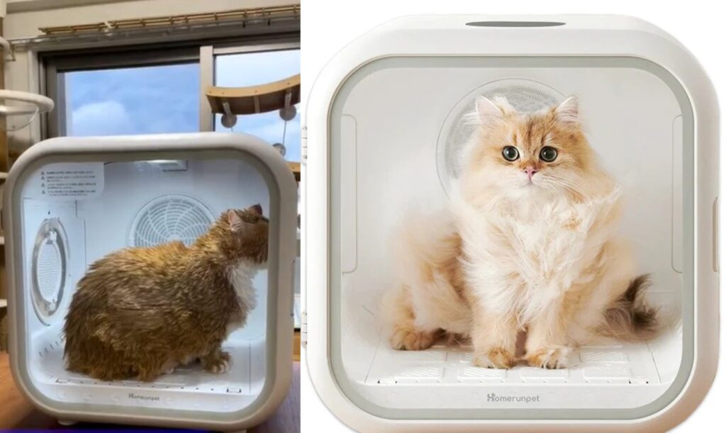Mesin Homerunpet DryboPlus keringkan bulu kucing di rumah