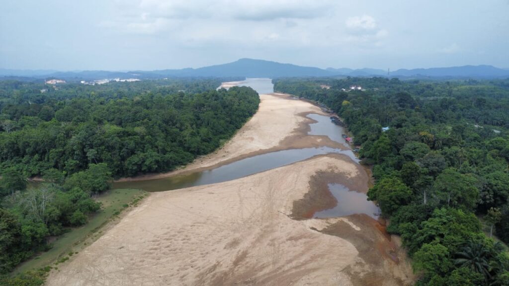 Penternak ikan merana angkara pasir Sungai Pahang