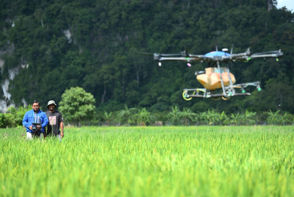 Kurang lima peratus pesawah bawah usia 30 tahun