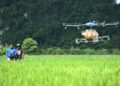 Kurang lima peratus pesawah bawah usia 30 tahun