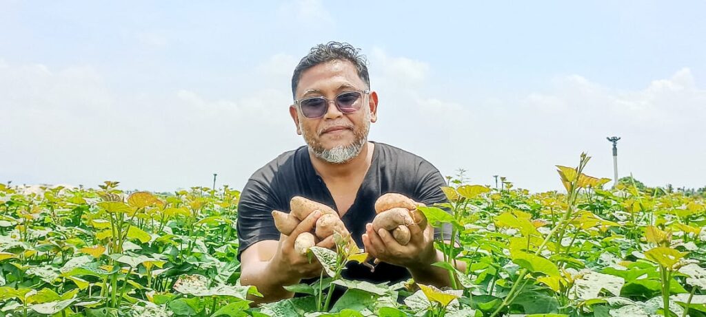 Dari industri kuari, kini Zaini  jadi penanam ubi keledek, jagung, kelapa